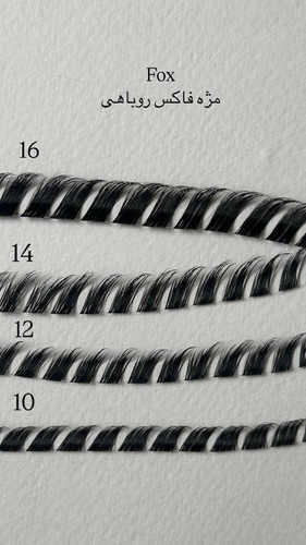 مژه فیشر فاکس